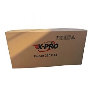 X-PRO Falcon 250 EFI Fuel Injected Motocycle 6 Speed Manual Transmission, Big 17