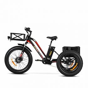Addmotor 24/20 Inch Electric Tricycles for Adults, 750W 48V 17.5Ah Battery, Electric Bike 3 Wheel for Women Men, Adjustable Seat & Handlebar, Electric Trike with Big Baskets