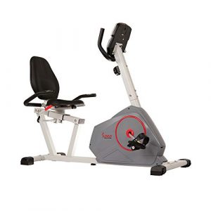 Sunny Health & Fitness Magnetic Recumbent Exercise Bike with Silent Belt Drive, Performance Monitor, BMI and Body Fat Calculator, 275 LB Max Weight - SF-RB4953,Gray