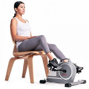 Sunny Health & Fitness Magnetic Mini Exercise Pedal Cycle - SF-B020026
