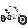 Addmotor Motan M-360 Electric Tricycle 20", 750W 48V 17.5Ah Removable Battery 7 Speeds E-Bike, 350lbs+100lbs Carry with Rear Bike Bag (Snow White)