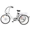 Viribus 3 Wheel Electric Bike for Adults with 250w Motor, Bike Tube, Removable 36V 10Ah Lithium Battery, Adult Tricycle with Adjustable Cruiser Bike Seat and Bike Basket, Exercise Bike