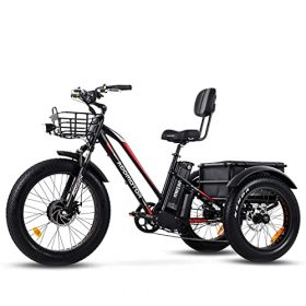 Addmotor Motan Electric Tricycle, 24