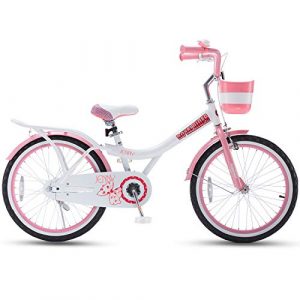 Royalbaby Jenny Princess Pink Girl's Bike with Basket, for Kids, 20 inch Wheels