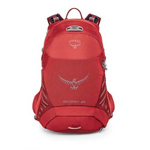 Osprey Packs Escapist 25 Daypacks, Cayenne Red, Medium/Large