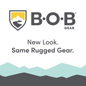 BOB Gear Revolution Flex 3.0 Jogging Stroller, Graphite Black