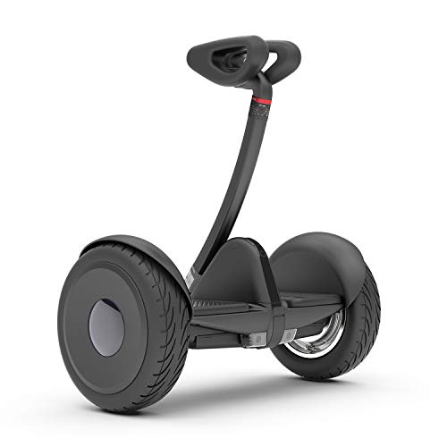Segway Ninebot S Smart Self-Balancing Electric Scooter with LED light, Portable and Powerful, Black, Large