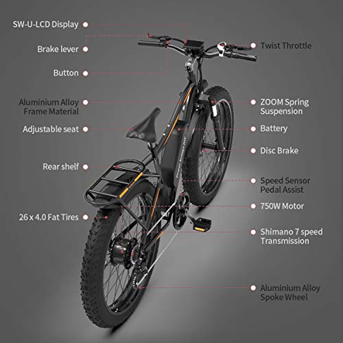 AOSTIRMOTOR Electric Mountain Bike, 750W Motor 48V 13AH Removable Lithium Battery Ebike with Rack, 26" 4.0 inch Fat tire Bike, Electric Bicycle for Adults(Black)