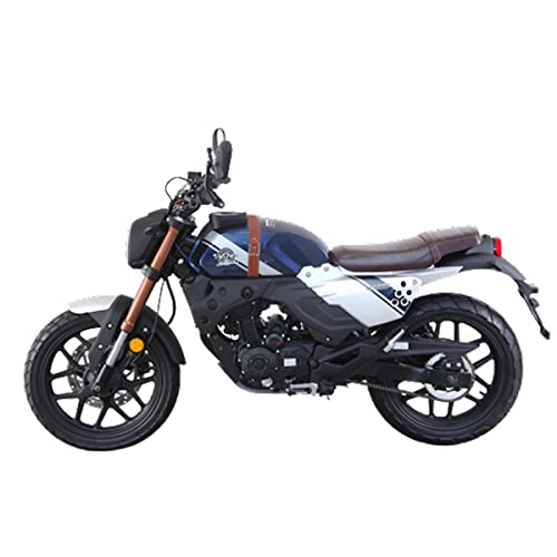 X-PRO KPM 200 Adult Motorcycle 200cc Gas Street Motorcycle Electric Fuel Injection 17HP 6 Speed made by Lifan(Blue)