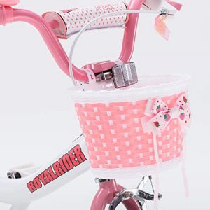 Royalbaby Jenny Princess Pink Girls Bike with Training Wheels and Basket, Best Gifts for Girls. 12 Inch, 14 Inch, 16 Inch Avaliable (Pink, 14 Inch)