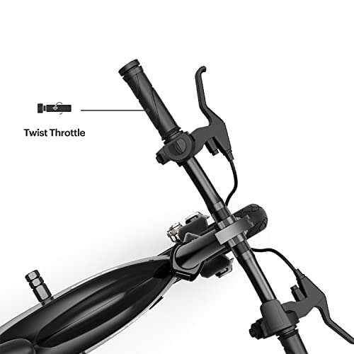 Jetson LX10 Folding Electric Bike | Includes Easy Folding Mechanism | 250 Watt Motor| Top Speed of 15.5 mph | Twist Throttle | 10" Wheels | with Pegs, Black, (JLX10-BLK)