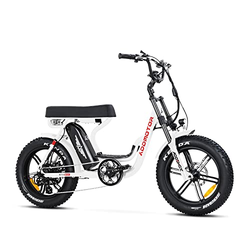 Addmotor MOTAN Electric Bike Step Through 20 inch Fat Tire 750W Motor E Bike Removable 48V 20Ah Lithium Battery Throttle Pedal Assist M-66 R7 Power Bikes for Adults+Fenders+Headlight(White)