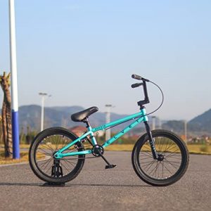 AVASTA 18 Inch Kids Bike Freestyle BMX Bicycle for 5 6 7 8 Years Old Boys Girls, Mint
