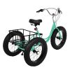 Pubota Fat Tire 3 Wheels Beach Cruiser Bike - Tricycle 20-inch Wheels and 7-Speed Rear Cargo Basket for Men Women Adult (Mint Green) 67x41.5x33.5inch