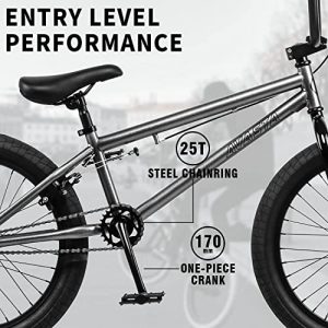 AVASTA Kids BMX Bike 20 Inch Freestyle Bicycles for 6 7 8 9 10 11 12 13 14 Years Old Boys Girls Youth Adult and BeginnerRiders with 4 Pegs, Grey