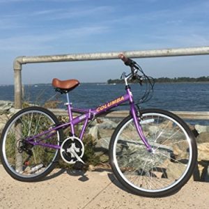 Columba 26 inch 18 Speed Folding Bike (Purple)