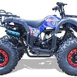 Offroad Mall 125cc Gas Powered Full Size ATV 19