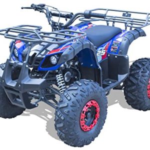 Offroad Mall 125cc Gas Powered Full Size ATV 19