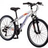 Schwinn High Timber Youth/Adult Mountain Bike, Steel Frame, 24-Inch Wheels, 21-Speed, Silver