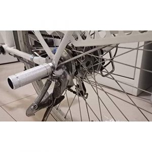 WADEKING Aluminum Alloy Bike Pegs,Fit 3/8 inch Axles,Foot Pedals Backseats Stands,Durable, Non-Slip(2 Pieces) (Silver)