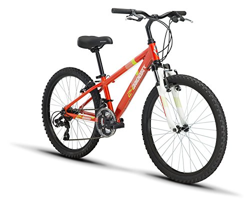 Diamondback Bicycles Octane 24 Youth 24" Wheel Mountain Bike, orange