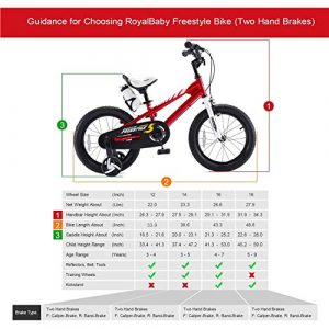 RoyalBaby Boys Girls Kids Bike 12 Inch BMX Freestyle 2 Hand Brakes Bicycles with Training Wheels Child Bicycle Red