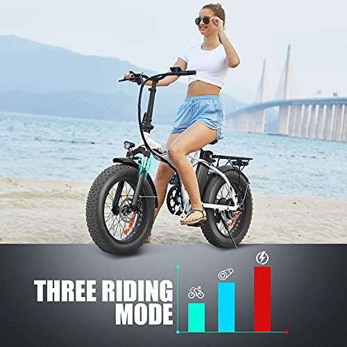 ANCHEER 20" 4.0 Fat Tire Electric Bikes for Adult, 20 inch 48V 500 Watt Electric Bicycles Folding E-Bike 12.5Ah 600Wh Battery LCD Display, Beach Cruiser Snow Bike