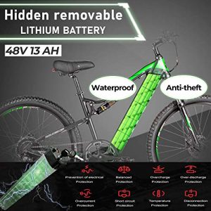 PASELEC Electric Bikes for Adult, Electric Mountain Bike, E-Bike Moped with 48V 13ah Lithium Battery,500W Professional E-MTB (Black)