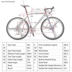 OBK Road Bike 700C Wheels 21 Speed Daul Disc Brakes Mens or Womens Bicycle Cycling 54cm/49cm Frame (54cm Wheel 1)