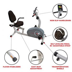Sunny Health & Fitness Magnetic Recumbent Exercise Bike - SF-RB4905