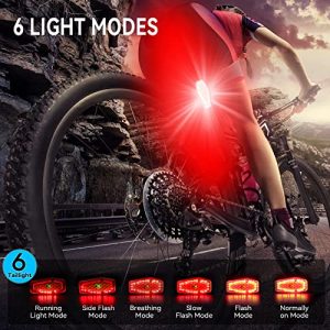 Bike Tail Light 2 Pack, Bicycle Rear Light Rechargeable Safety Light, Super Bright LED Red Warning Light, 6 Light Mode Waterproof Bike Lights for Night Riding, Pet Collars, Running, Bike Lovers