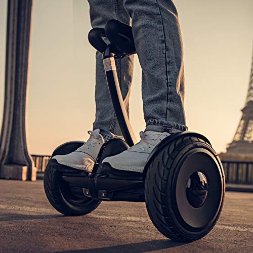 Segway Ninebot S Smart Self-Balancing Electric Scooter with LED light, Portable and Powerful, Black, Large