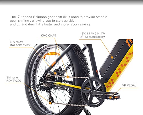 Katharina Shop Adults Electric Bike 750W Motor Fat Tire Electric Mountain Bicycle 48V Lithium Battery 7-Speed Snow Beach E-Bike Dirt Bicycles UL, Black
