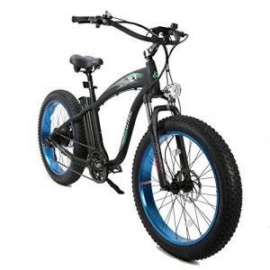 ECOTRIC UL Certified - Powerful Bike Fat Tire Electric Bicycle 26
