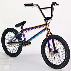 Pro 20" Complete BMX Bicycle W/ 3 Piece Crank, Pegs Included, Oil Slick Neo Chrome