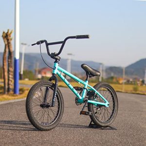 AVASTA 18 Inch Kids Bike Freestyle BMX Bicycle for 5 6 7 8 Years Old Boys Girls, Mint