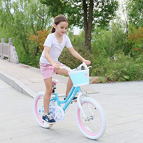JOYSTAR 12 Inch Girls Bike Toddler Bike for 2 3 4 Years Old Girl 12" Kids Bikes for Ages 2-4 yr with Training Wheels and Basket Children's Bicycle in Blue