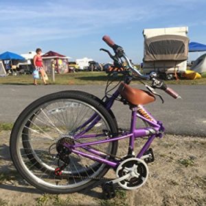 Columba 26 inch 18 Speed Folding Bike (Purple)