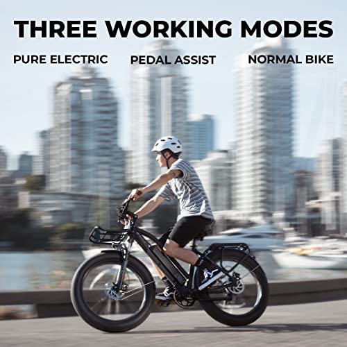 ET.Cycle T720 Electric Fat Tire Bike e Bike for Adults, 48V720Wh Large Removable Battery, 8 Speed Gear, Disc Brakes, Matte Black 26"