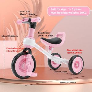 GLAF 4 in 1 Kids Tricycle for 10 Month to 3 Years Old Toddler Tricycle Boys Girls Baby Balance Bike for 1 to 3 Years Old Toddler Bike 1 Year Old with Removable Pedal (Pink)
