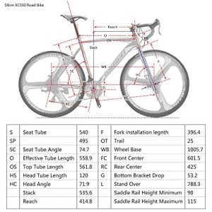 Road Bike TSM 550 21 Speed Bike 54Cm Frame Adult Bike Dual Disc Brake Wheels Bicycle
