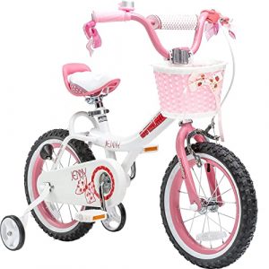 Royalbaby Jenny Princess Pink Girls Bike with Training Wheels and Basket, Best Gifts for Girls. 12 Inch, 14 Inch, 16 Inch Avaliable (Pink, 14 Inch)