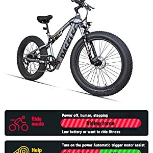 PASELEC Electric Bikes for Adult, Electric Mountain Bike, 4.0 Fat Tire E-Bike with 48V 14.5ah Lithium Battery, 750W Motor,9 Gear Full-Suspension E-MTB (Gray, 14.5AH Battery)