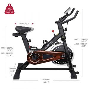 AOCKOS Indoor Cycling Bike, Stationary Exercise Bike with Magnetic Resistance, LCD Monitor＆Comfortable Seat Cushion, XK1501MB