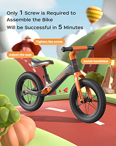 Balance Bike for 2 3 4 5 6 Year Old Boys Girls | 12" Kids Toddler Bike with Hidden Pedal | Lightweight Push Bike Adjustable Seat | Rubber Air Tires Balance Bikes | First Bike Gifts for 2-6 Kids