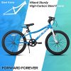 Hiland 20 inch Kids Mountain Bike for Boys, Girls with Dual Handbrakes, Kick Stand Blue
