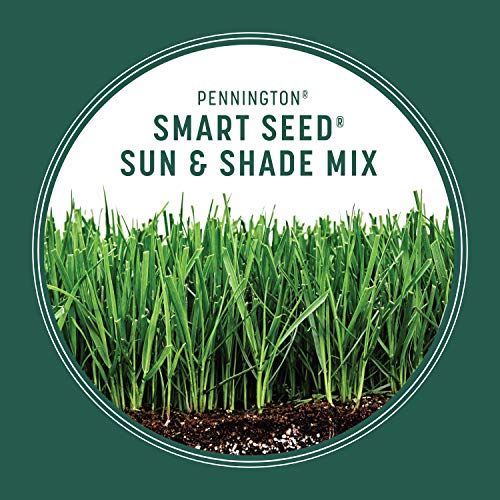 Pennington Smart Seed Sun and Shade Grass Mix 3 lb