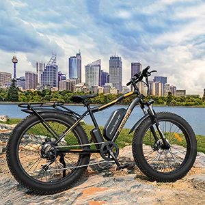 AOSTIRMOTOR Electric Mountain Bike, 750W Motor 48V 13AH Removable Lithium Battery Ebike with Rack, 26